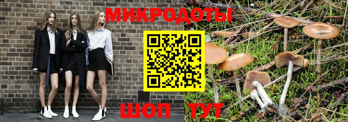 Галлюциногенные грибы ЛСД Добрянка